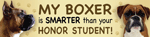 Boxer/Honor Student thumbnail