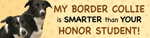 Border Collie/Honor Student thumbnail
