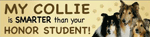 Collie//Honor Student thumbnail