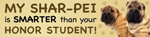 Shar-Pei/Honor Student thumbnail