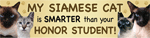 Siamese Cat/Honor Student thumbnail