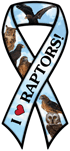 Raptors thumbnail