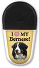 Bernese Mountain Dog thumbnail