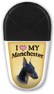 Manchester thumbnail