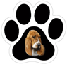 Basset Hound thumbnail