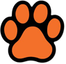 Solid - Orange on black thumbnail