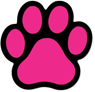 Solid - Hot Pink on black thumbnail