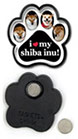Shiba Inu thumbnail