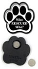 Who Rescued Who? thumbnail