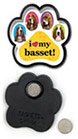 Basset Hound thumbnail
