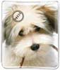 Puppy Plea thumbnail