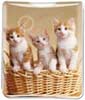 Kittens in Basket thumbnail