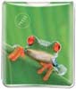 Tree Frog thumbnail