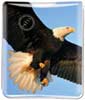 Eagle Flight thumbnail