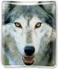 Wolf thumbnail