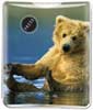 Bathing Bear thumbnail