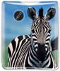 Zebra thumbnail