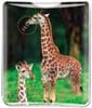 Giraffes thumbnail