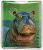 Hippo thumbnail