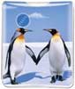 Penguins thumbnail