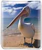 Pelican thumbnail