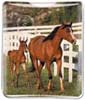 Horses thumbnail