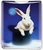 Rabbit in Hat thumbnail