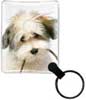 Puppy Plea thumbnail