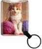 Kitten with Yarn thumbnail