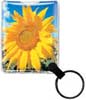 Sunflower thumbnail