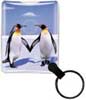 Penguins thumbnail