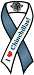 Chinchillas thumbnail