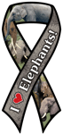 Elephants thumbnail