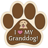 Granddog thumbnail