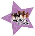 Papillons Rock! thumbnail
