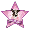 Greyhound, Queen of Canines thumbnail
