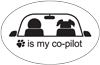 Dog is my co-pilot thumbnail