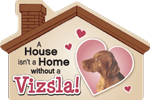 Vizsla thumbnail