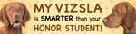 Vizsla/Honor Student thumbnail