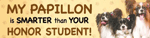 Papillon /Honor Student thumbnail