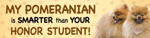 Pomeranian/Honor Student thumbnail