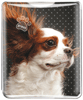 Cavalier thumbnail