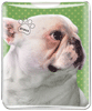 Frenchie thumbnail