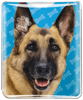 German Shepherd thumbnail