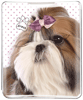 Shih Tzu thumbnail
