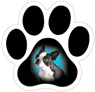Boston Terrier thumbnail