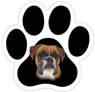 Boxer thumbnail