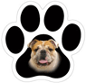 Bulldog thumbnail