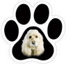 Cocker Spaniel thumbnail