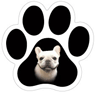 Frenchie thumbnail